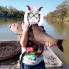 his favorite food is detritus